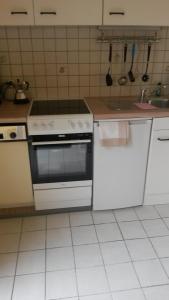 a kitchen with a white stove and a sink at Eulennest-lu in Ludwigshafen am Rhein
