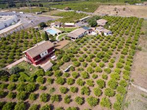 Gallery image of Orange Park - Agriturismo in Misterbianco