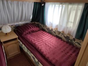 MorávkaVanessa - Camp pod kaštany的窗户客房内的小床