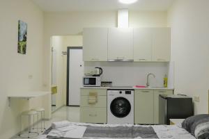 a kitchen with a washing machine and a microwave at Jasmine Lux Apartment in Kakhaberi