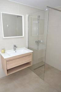 Un baño con lavabo y ducha en Casa Popa, en Costinesti 18 fotos más