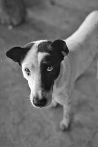 Fotografie z fotogalerie ubytování Napahong Treehouse นาป่าฮง v destinaci Ban Pa Ha