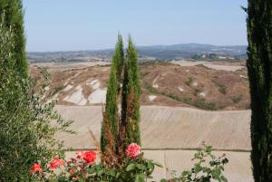 uma vista para um campo com flores e árvores em Tuscany Balcony: Crete Senesi em Casetta