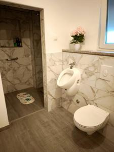 a bathroom with a toilet and a urinal at Na brigu in Livno +21 photos