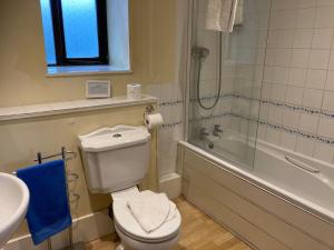 a bathroom with a toilet and a sink and a shower at Bakers Mill Holiday Cottages in Beaminster +28 photos