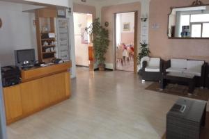 TV a/nebo společenská místnost v ubytování Hotel Carol