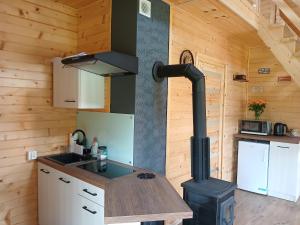 a kitchen with a stove in a cabin at Domki pod szybowiskiem in Lesko