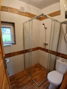 a bathroom with a toilet and a glass shower at Domki pod szybowiskiem in Lesko +21 photos