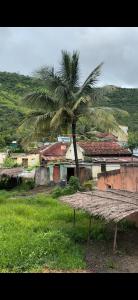 a palm tree in front of a village with a building at Matoshri in Satara