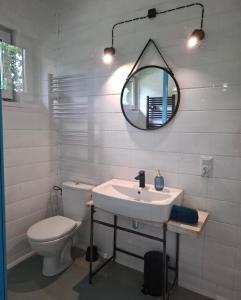 a bathroom with a sink and a toilet and a mirror at Stodoła Głębuczek in Mystków +21 photos