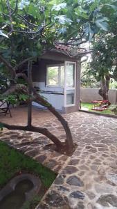 a tree in front of a house with a stone patio at Apartments Ukić in Tribunj