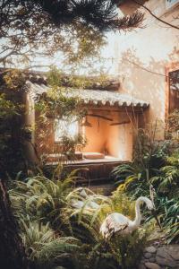 ein Garten mit einem Vogel vor einem Gebäude in der Unterkunft Dali Fenghe Sansheng Homestay in Dali Ancient Town