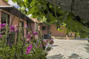 een binnenplaats van een gebouw met paarse bloemen bij Family Secrets Douro in Riba Douro