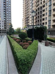 a hedge in the shape of a heart next to buildings at Апартаменти в АРКАДІЇ 10 хв до моря in Odesa +2 photos