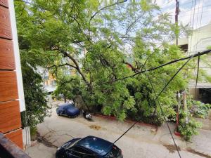 a car parked in a parking lot next to a tree at Fully Private 1BHK Couple Friendly at Serene Green Entire rental unit in Indore, India in Indore