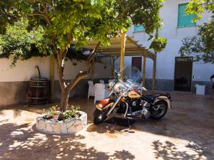 a motorcycle parked next to a tree in front of a building at Carlo's House in Bosa