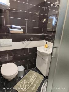 a small bathroom with a toilet and a sink at Apartmani Bezek in Ston +73 photos