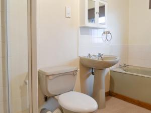Un baño con inodoro, lavabo y bañera. en The Cottage Gallt Y Balch, en Bodorgan 2 fotos más