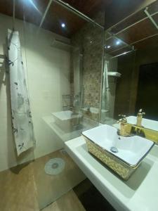 un baño con lavabo y ducha en hotel milton, en Islamabad