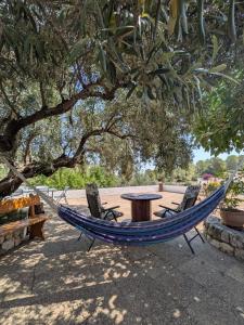 Vonkajšia záhrada v ubytovaní Eco Maset, alojamiento rural rodeado de naturaleza + 23 fotografií