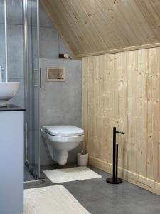 a bathroom with a toilet and a sink at Tatra Glam Krynica Zdrój - Sieć noclegowa Tatra Glamp in Czyrna