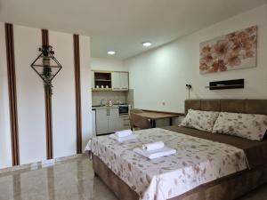 Gallery image of Apartmani Nataly M2 in Veliko Gradište