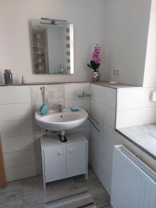 un baño con lavabo y espejo en Sweet Home - Sweet Dreams, en Oelsnitz 11 fotos más