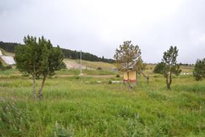Pokrajina v okolici apartmaja