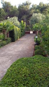 a walkway in a garden with bushes and trees at Apartments Ukić in Tribunj +9 photos