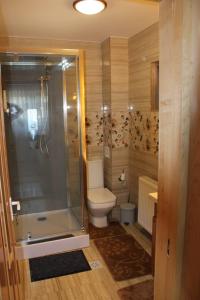 a bathroom with a shower and a toilet at Casa la grig in Râşnov +24 photos