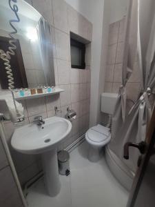 a small bathroom with a sink and a toilet at Casa cu Brazi in Buşteni +15 photos