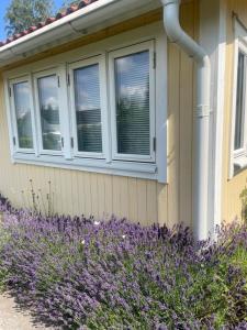 Fotografie z fotogalerie ubytování Charmigt Villa bredvid sjön Örlen v destinaci Tibro