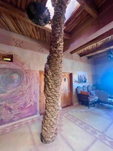 Fotografie z fotogalerie ubytování Hotel Carrefour des Nomades v destinaci Mhamid