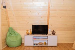 a living room with a tv and a green bag at Vikendica MIČIĆ in Šašiceva Ada