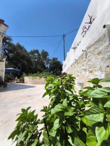 Gallery image of Studio Marianna in Oziás +60 photos