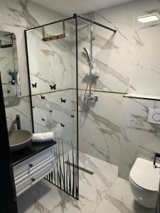 a bathroom with a shower and a sink at Casa Sub Dumbravă in Bîrsana +36 photos