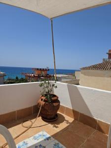 a potted plant on a balcony with a view of the ocean at Don Ciccio GH in Bova Marina