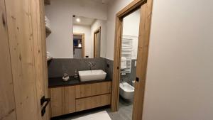 a bathroom with a sink and a toilet at Casa Lucia in Valdidentro