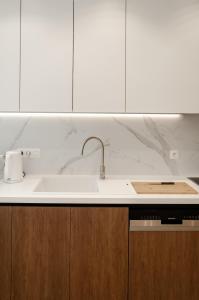 ヘントにあるBellavista Luxe Apartment with Leie Viewのシンクとカウンタートップのあるキッチン