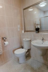 a bathroom with a toilet and a sink at Royal Hotel in Stornoway
