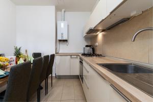 A kitchen or kitchenette at Royal Aurora Suite