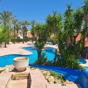 a swimming pool with a fountain and palm trees at Appartement El Palmar Denia in Denia