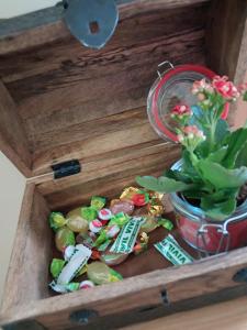 a wooden box with a potted plant and a cactus at Lo SCRIGNO in San Giorgio Montagna