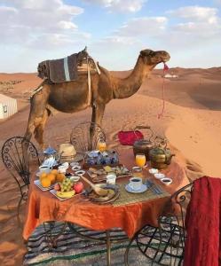 a table with a camel standing in the desert at Dar itran in Mhamid