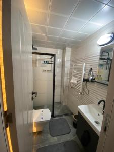 a bathroom with a white toilet and a sink at İngolaSuit in Çamlıhemşin +9 photos