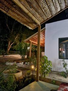 an outdoor patio with a pergola and some plants at Pahali in Bwejuu