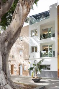 a large white building with a tree in front of it at Sunnyland Teresitas beach house in San Andrés