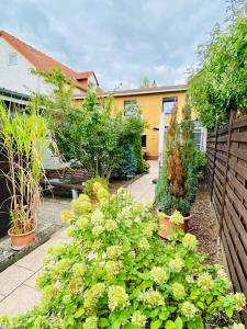a garden with plants and a fence and a house at Wohlfühloase in Hofheim in Hofheim am Taunus