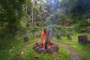 a fire pit in the middle of a forest at Alaya Stays Panchavadi Farm Stay in Thekkady
