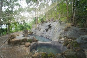 a pool of water in the middle of a forest at Alaya Stays Panchavadi Farm Stay in Thekkady
